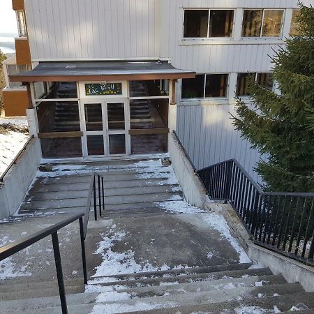 Piste Verte Apartment Besse-et-Saint-Anastaise Ngoại thất bức ảnh