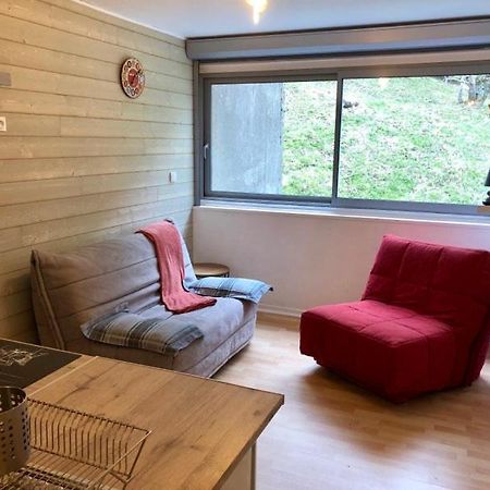 Piste Verte Apartment Besse-et-Saint-Anastaise Ngoại thất bức ảnh