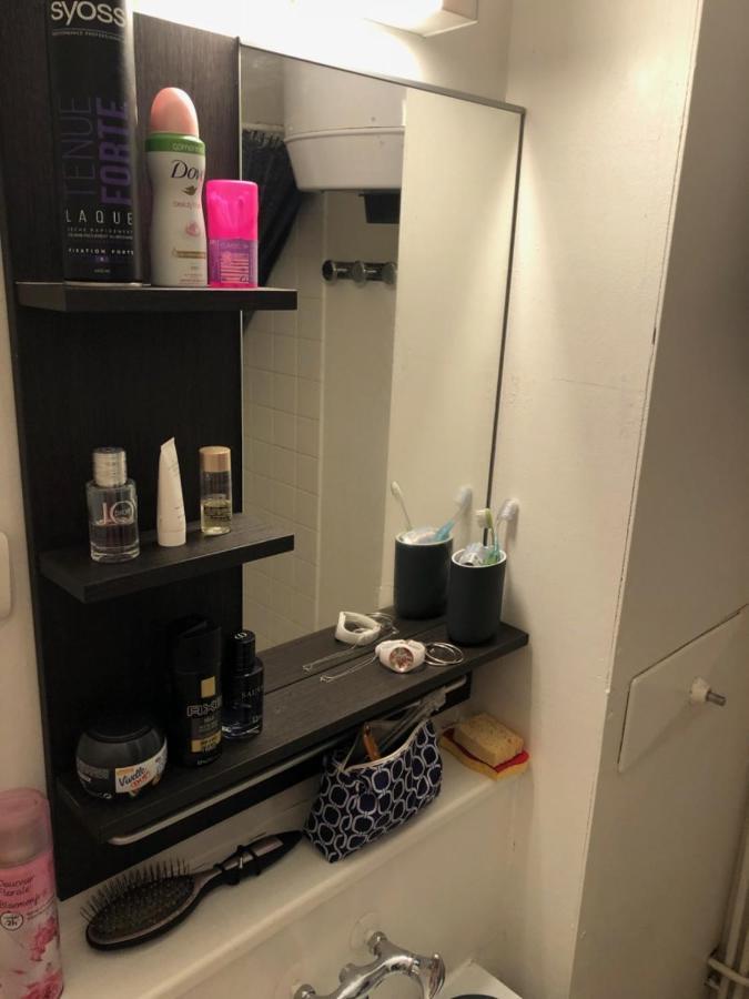 Piste Verte Apartment Besse-et-Saint-Anastaise Ngoại thất bức ảnh