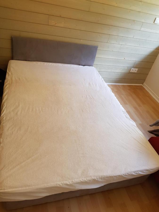 Piste Verte Apartment Besse-et-Saint-Anastaise Ngoại thất bức ảnh